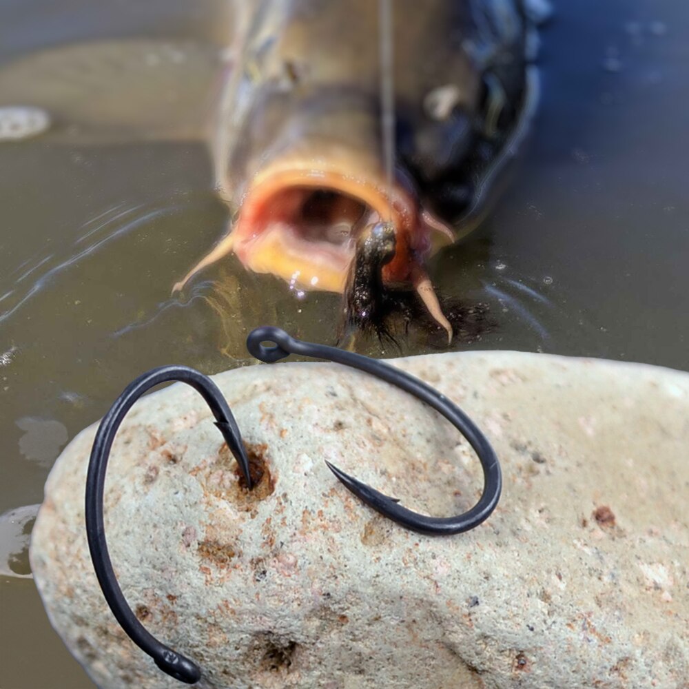 Hirisi Carp Fishing Hooks 50pc - Fishing Hook Offset のレビューと価格